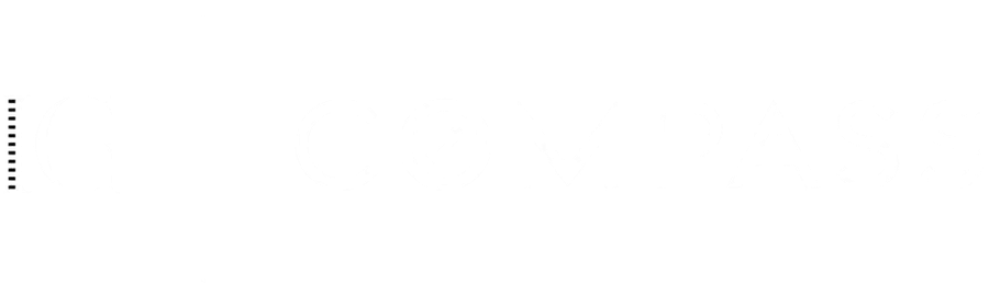 Iggy Goncalves — Compass